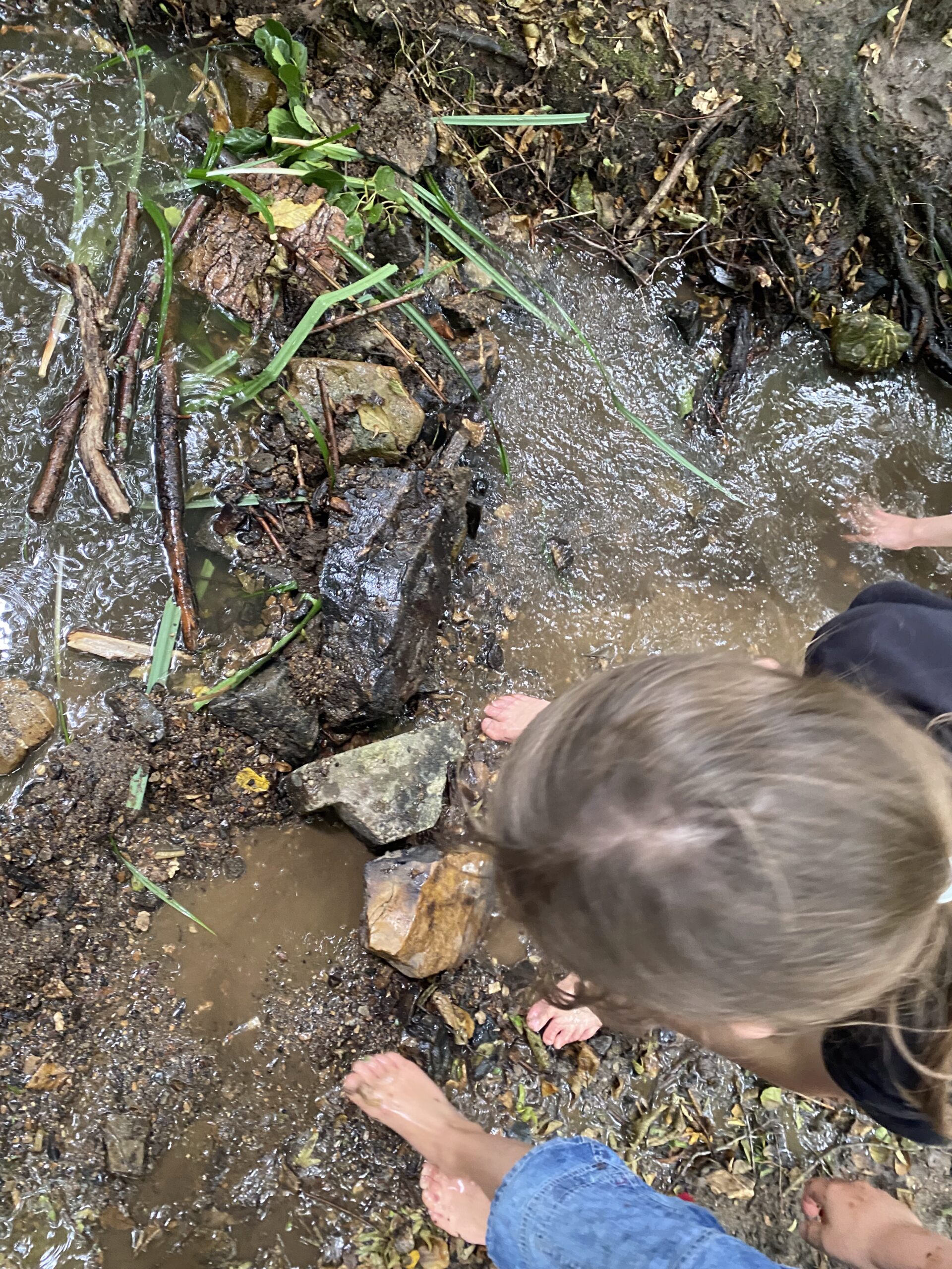 Erfahrung mit allen Sinnen in der Natur